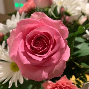 Meet your Posher, Lynn